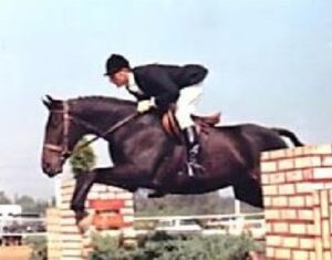 Equi-note 04 How will the Riding Revolution help my horse?