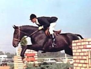 Bay horse jumping. How Will the Riding Revolution Help your Horse?