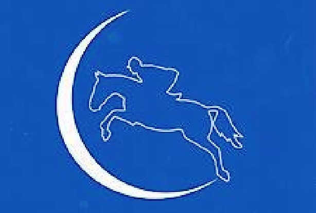 Horse jumping over blue moon. A Revolution in Horse and Rider Training