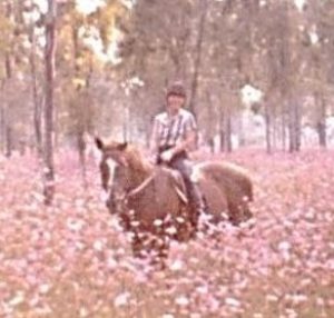 horse in field with pink flowers. Joy happens when matching principle is respected.
