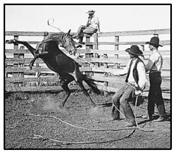 cowboy roping mustang; Ignoring the Matching Principle aggravates disharmony