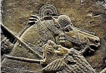 Hyperflexion-rollkur-how did rollkur start? Assyrian horse before the use of the curb bit