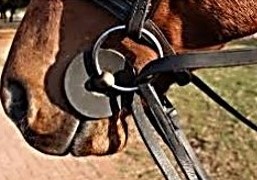 Hyperflexion-rollkur is a mismatch which creates disharmony. Draw reins act as a lever from the rider's hands down to the girth.