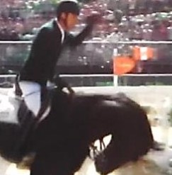 Hyperflexion-rollkur is also used a lot in showjumping