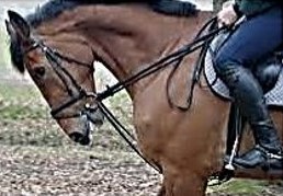 Hyperflexion-rollkur is a mismatch which creates disharmony. It is frequently obtained with tight draw reins