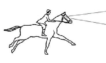 Hyperflexion-rollkur damages the horse's visibility. When the horse's head is in normal position is can see very well to the front