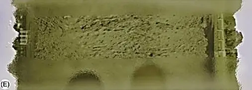 Hyperflexion-rollkur damages the horse's visibility. When the head is forced downwards, the horse is forced to look at the ground near its front feet.