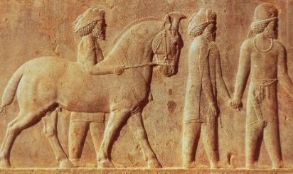 Hyperflexion-rollkur-how did rollkur start? It was present in the Persian cavalry in 515 BCE