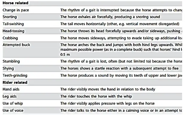 What is rein pressure? rein pressure can cause many forms of disobedience