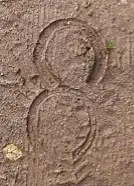 horseshoeing hoof track on ground