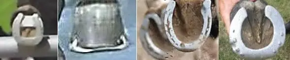 Horseshoeing-the scandal exposed at competitions Ineffective/risky shoe shapes